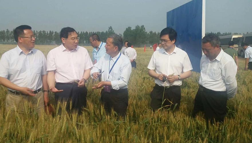 1530786843747739.jpg 1266.jpg