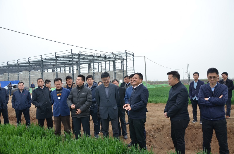 1553738709703732.jpg 33.jpg