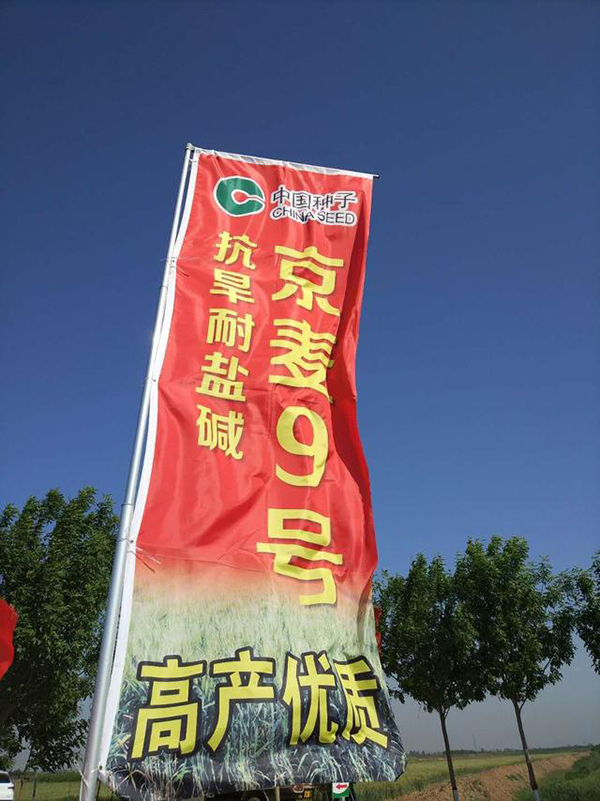 1560128116217527.jpg 4.jpg