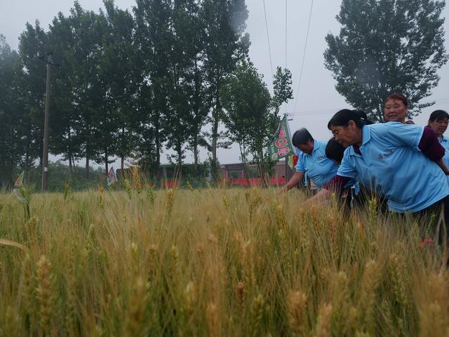 1560128138154349.jpg 5.jpg