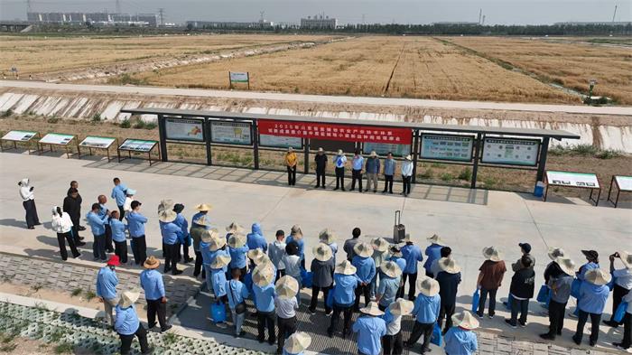 1750302435335422.jpg 33.jpg